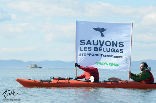 Manifestation de Greenpeace devant le bateau chargé de faire les levés sismiques dans le fleuve à Cacouna (photo largement utilisée dans la presse nationale) - 25 avril 2014