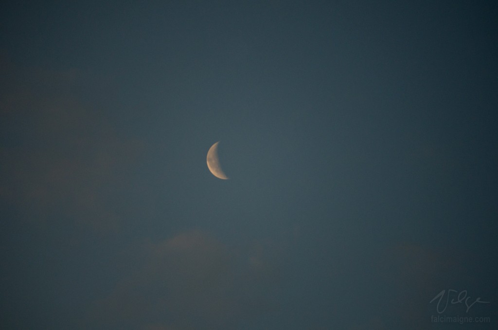 La Lune salue le Soleil levant. - Trois-Pistoles, 10 juillet 2015