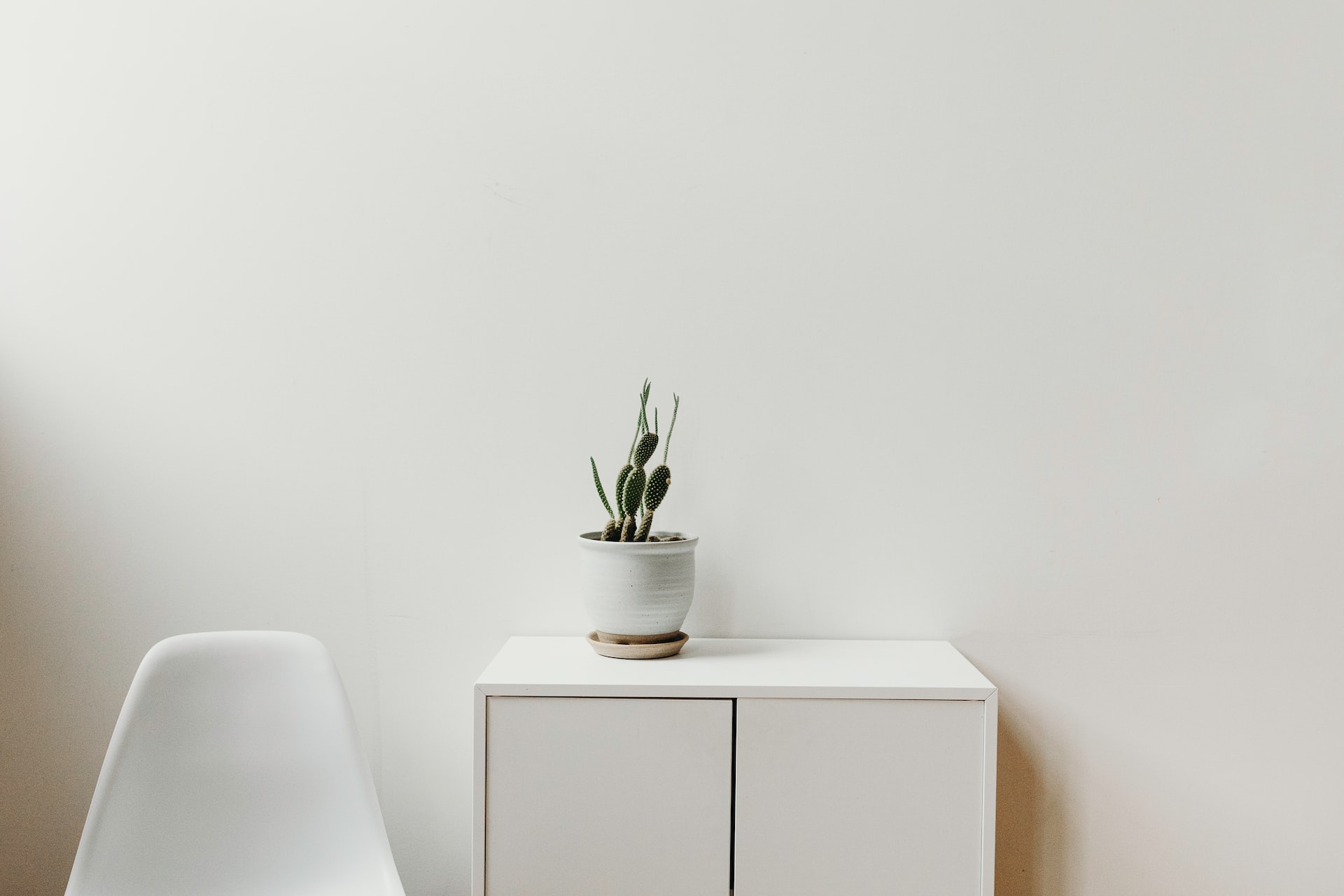 Liana mikah hstwcjx0jt4 unsplash